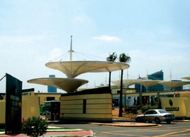 资阳膜结构案例